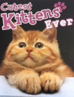 Cutest Kittens Ever cover