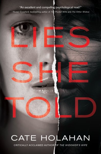 Lies She Told: A Novel cover