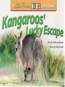 Kangaroo's Lucky Escape (Steve Parish Story Books)