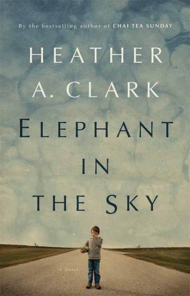Elephant in the Sky: A Novel cover
