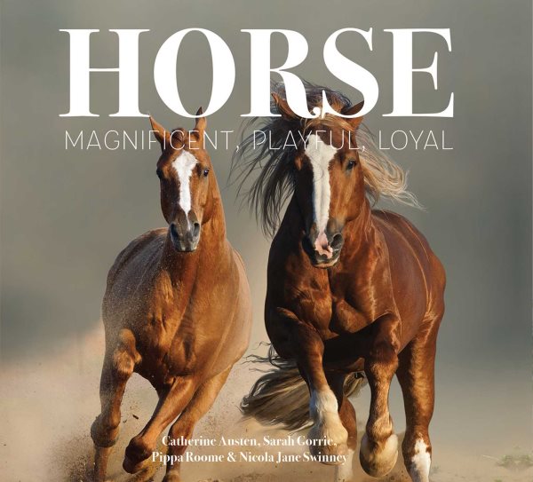 Horse: Magnificent, Playful, Loyal (Best Kept Secrets)