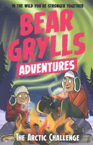 Bear Grylls Adventure 11 The Artic cover