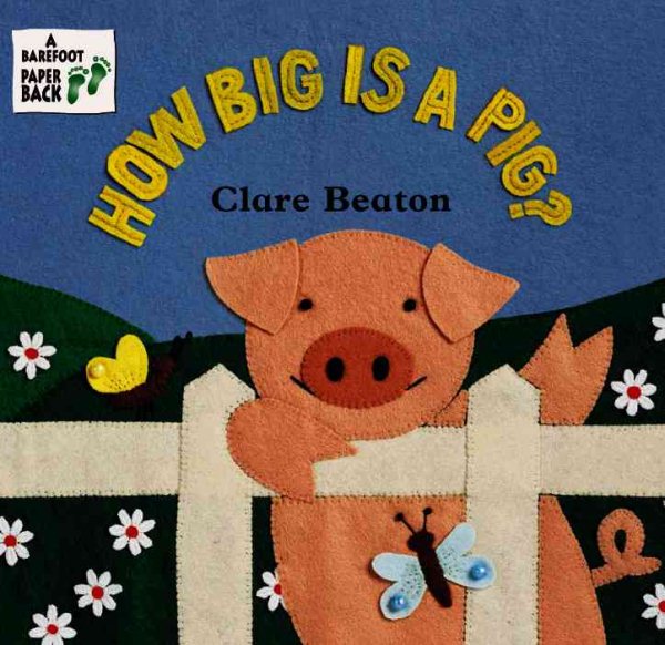 How Big Is a Pig? cover