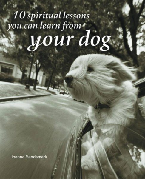 10 Spiritual Lessons You Can Learn from Your Dog cover