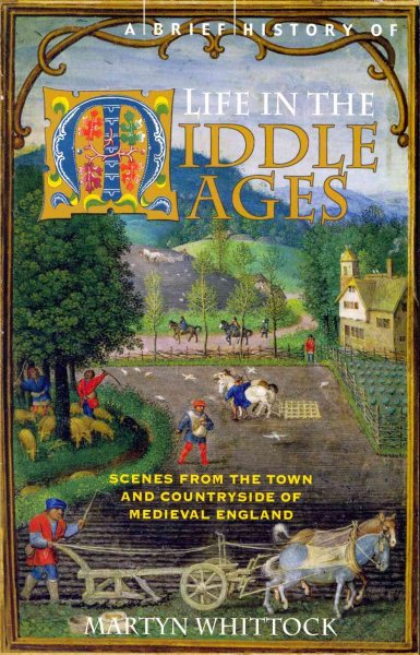 A Brief History of Life in the Middle Ages cover