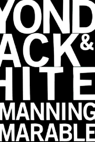 Beyond Black and White: Rethinking Race in American Politics and Society cover