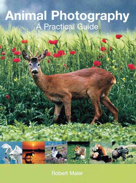 Animal Photography: A Practical Guide cover