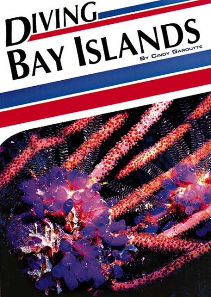 Diving Bay Islands (The Aqua Quest Diving Series) cover