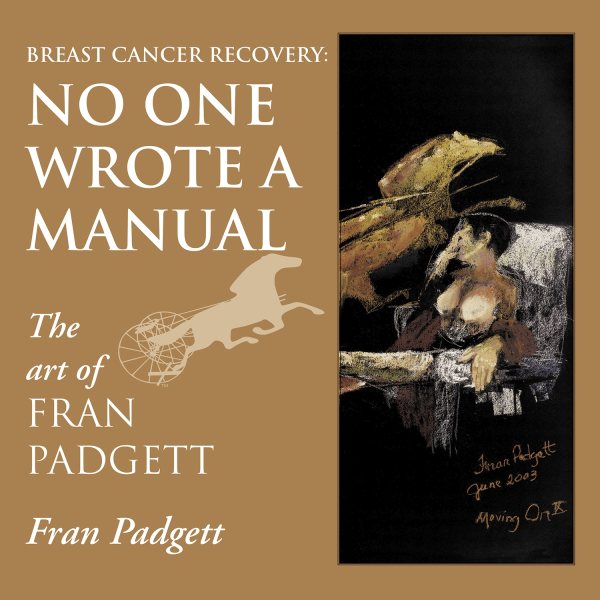 Breast Cancer Recovery: No One Wrote a Manual cover