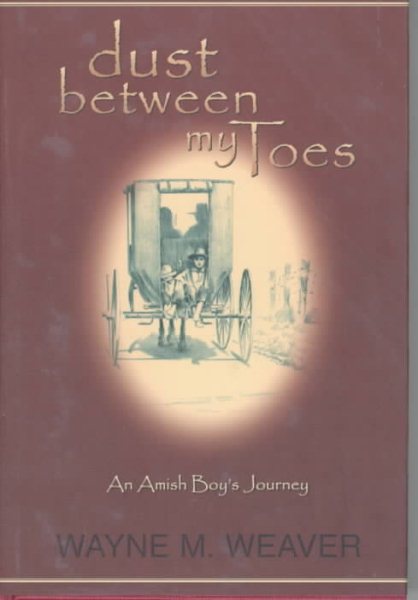 Dust Between My Toes: An Amish Boy's Journey cover