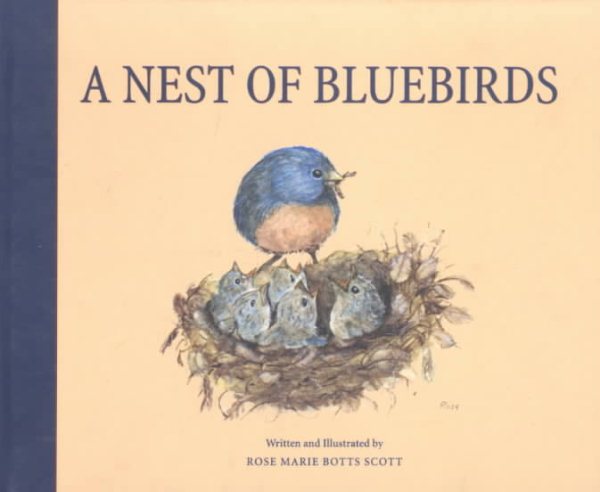 Nest of Bluebirds