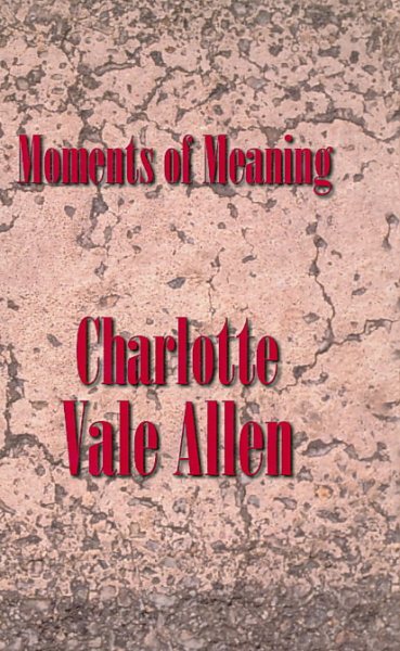 Moments of Meaning cover