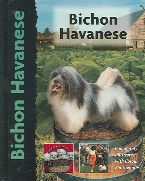 Bichon Havanese cover