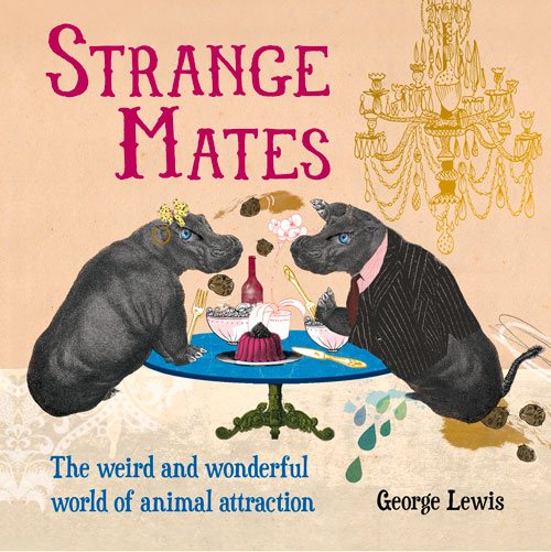 Strange Mates: The Weird and Wonderful World of Animal Attraction cover