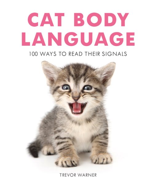 Cat Body Language: 100 Ways To Read Their Signals cover