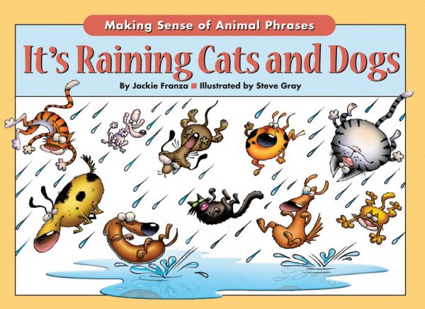 It's Raining Cats & Dogs cover