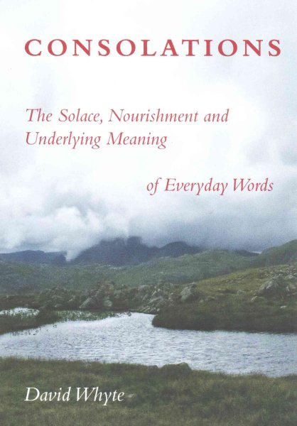 Consolations: The Solace, Nourishment and Underlying Meaning of Everyday Words cover