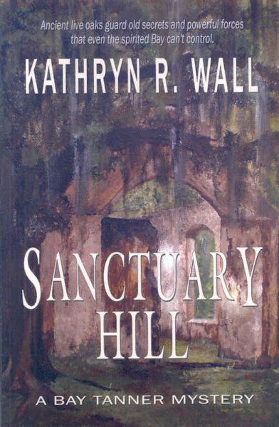 Sanctuary Hill (Bay Tanner Mystery) cover