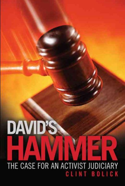 David's Hammer: The Case for an Activist Judiciary cover