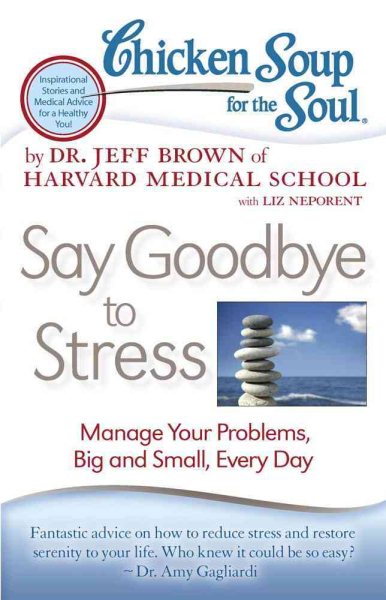 Chicken Soup for the Soul: Say Goodbye to Stress: Manage Your Problems, Big and Small, Every Day cover