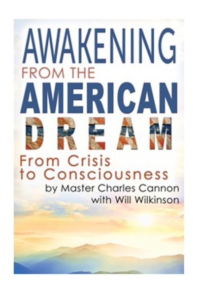 Awakening from the American Dream cover
