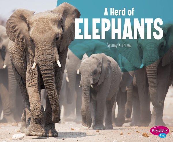 A Herd of Elephants (Animal Groups) cover