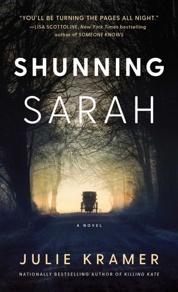 Shunning Sarah: A Novel cover