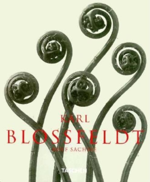 Karl Blossfeldt cover