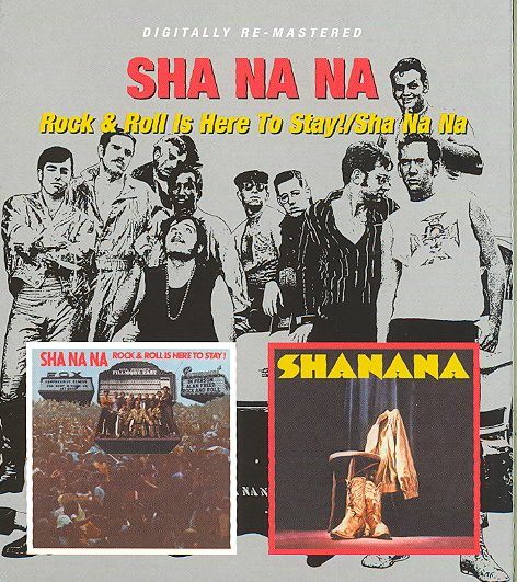 Rock & Roll Is Here to Stay / Sha Na Na cover