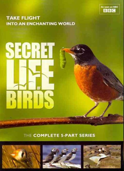Secret Life of Birds - 5 Part Series cover