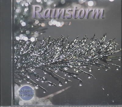 RAINSTORM cover