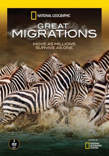 National Geographic: Great Migrations cover