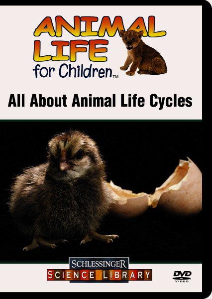 All About Animal Life Cycles