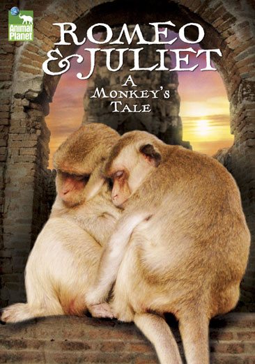 Romeo & Juliet: A Monkey's Tale cover