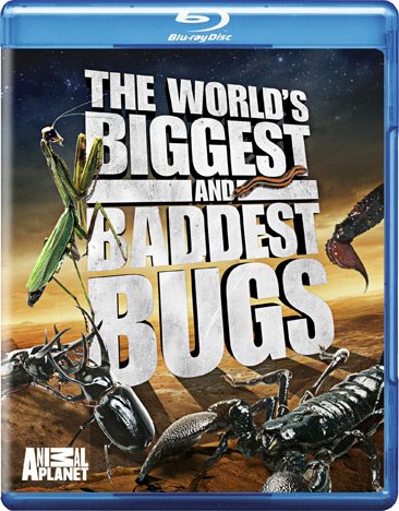 The World's Biggest and Baddest Bugs [Blu-ray] cover