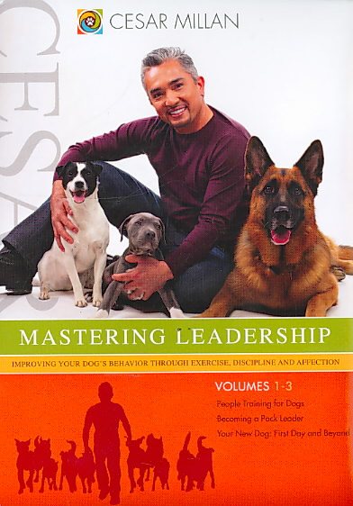 Mastering Leadership: Improving Your Dogs Behavior cover