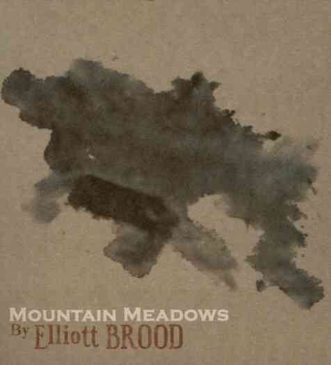 Mountain Meadows cover