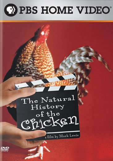 The Natural History of the Chicken cover