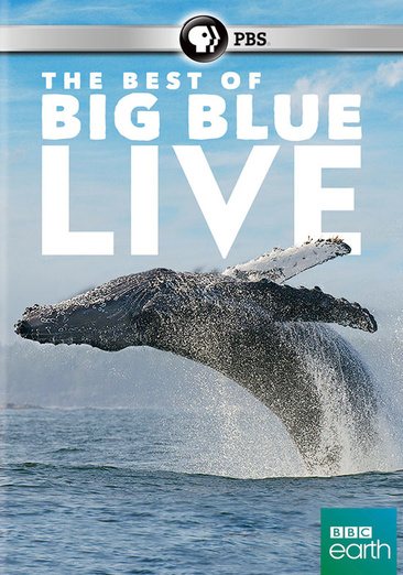 Best of Big Blue Live cover