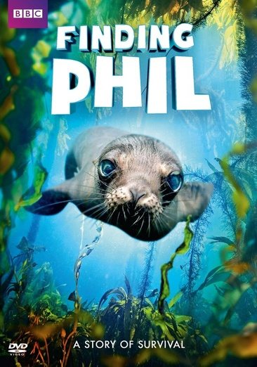 Finding Phil cover