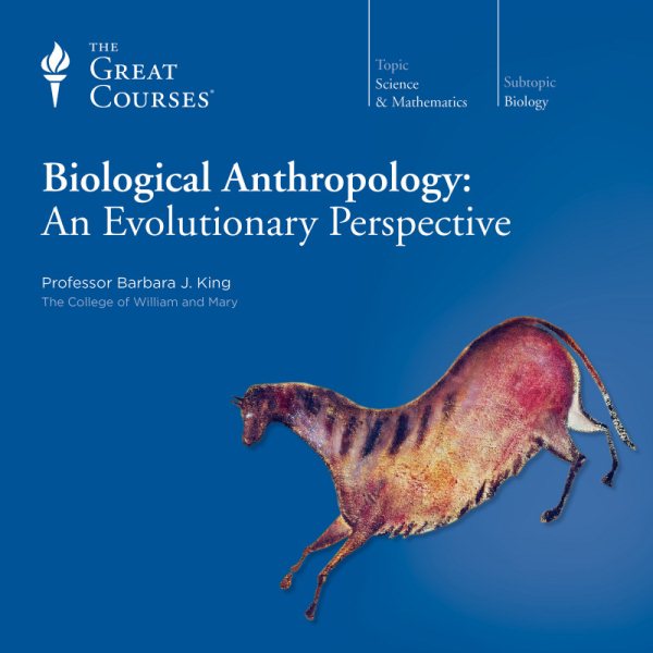 Biological Anthropology: An Evolutionary Perspective cover