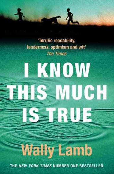 I Know This Much Is True (Oprah's Book Club) cover
