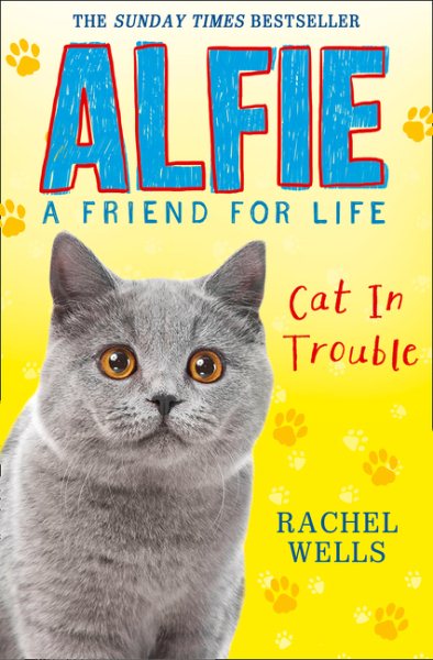 Alfie Cat in Trouble (Alfie A Friend for Life) cover
