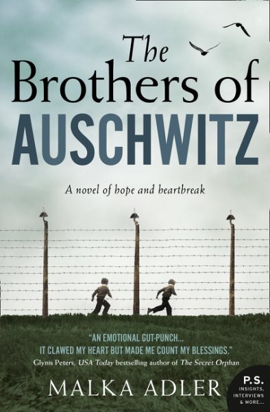 The Brothers of Auschwitz: The USA Today bestseller cover