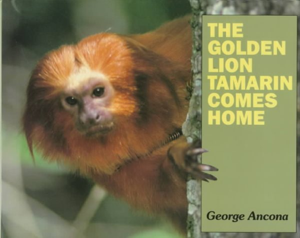 The Golden Lion Tamarin Comes Home cover