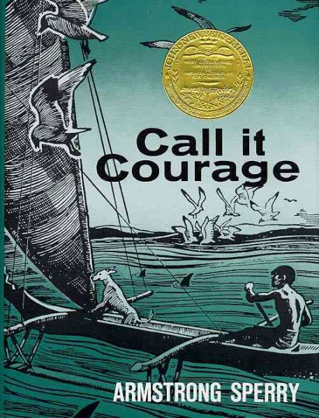 Call It Courage cover