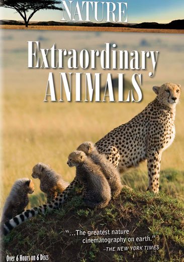 Nature: Extraordinary Animals cover