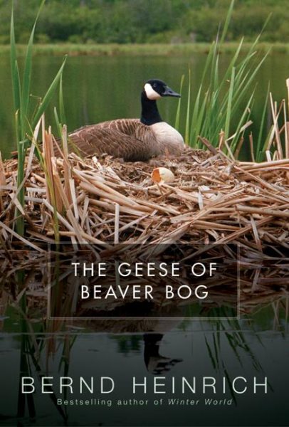The Geese of Beaver Bog cover