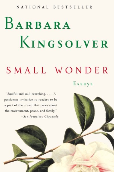 Small Wonder: Essays cover