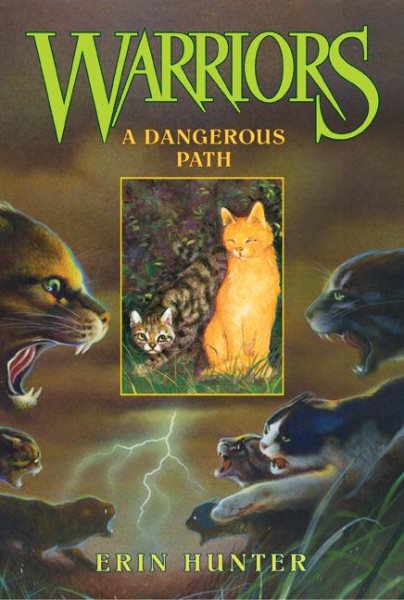 A Dangerous Path (Warriors #5) cover